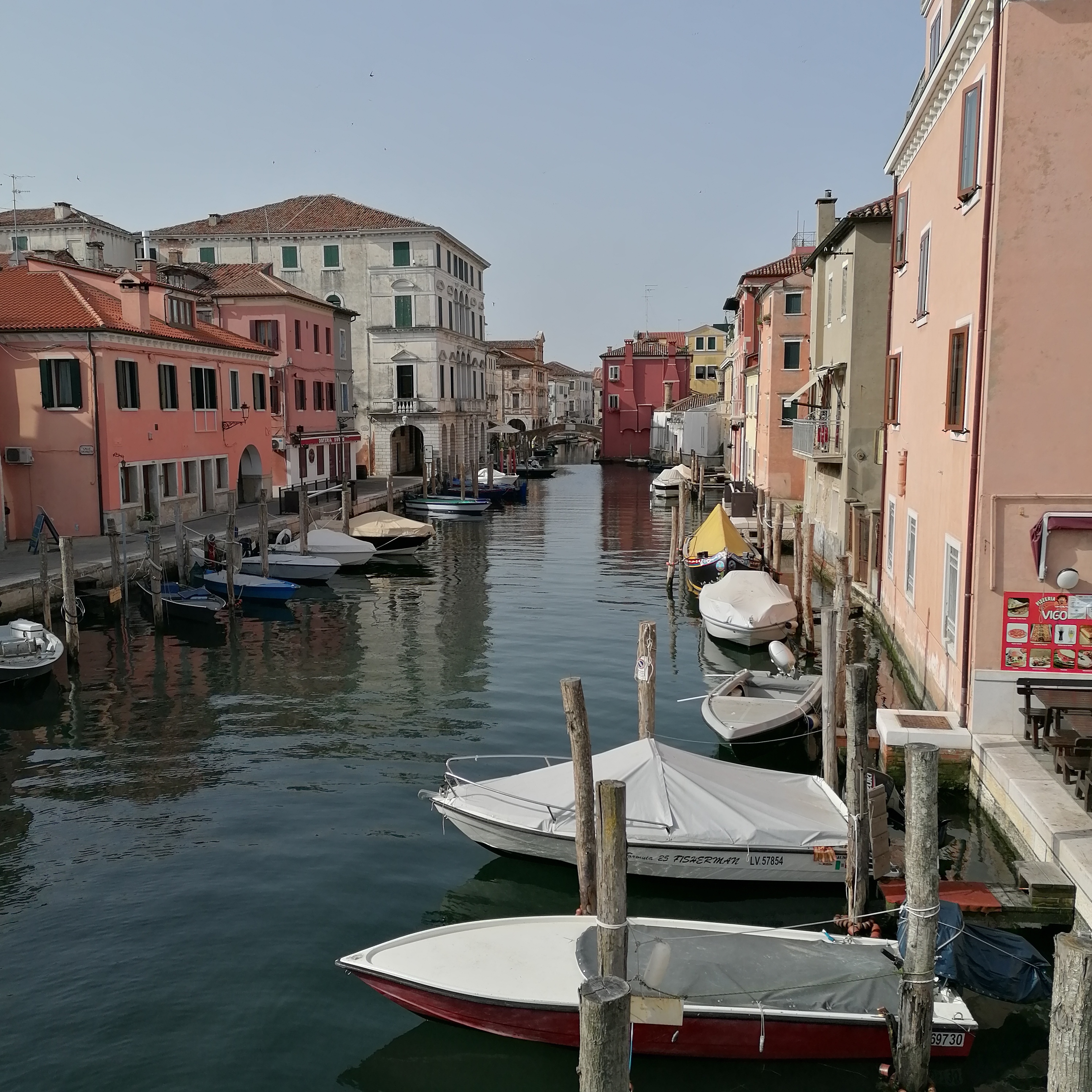 chioggia